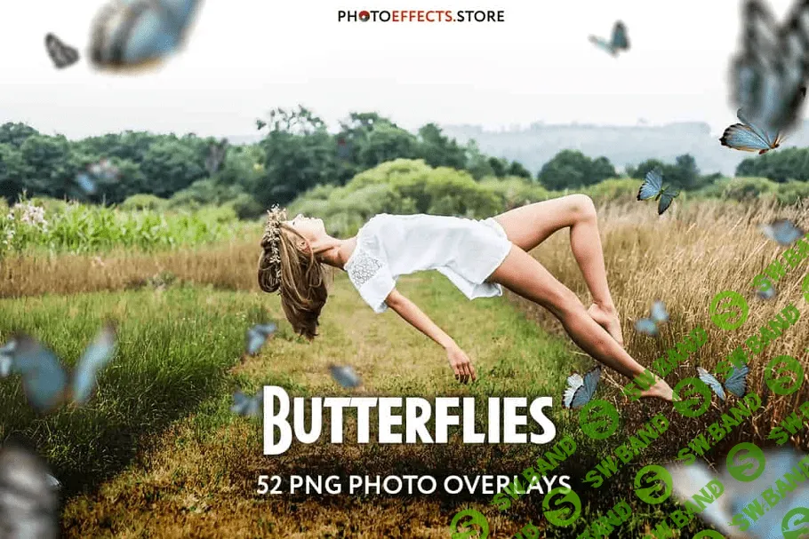 [creativemarket] 52+ Butterflies Photo Overlays (2021)
