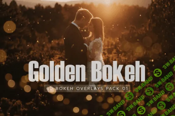 [creativemarket] 60 Golden Bokeh Pack 01 lights (2021)