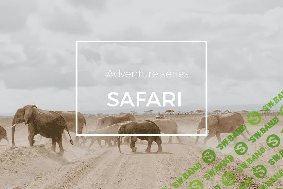 [creativemarket] Adventure Series: Safari LR Preset