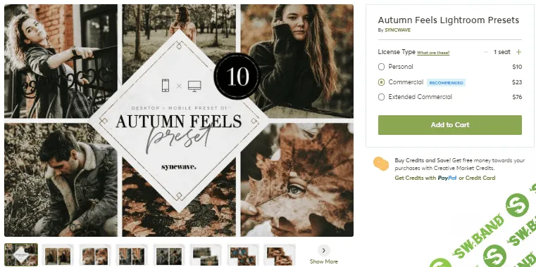 [Creativemarket] Autumn Feels Lightroom Presets (2020)