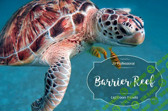 [Creativemarket] Barrier Reef Lr Presets (2018)