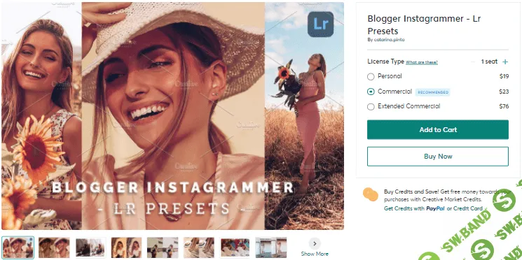 [Creativemarket] Blogger Instagrammer - Lr Presets (2020)