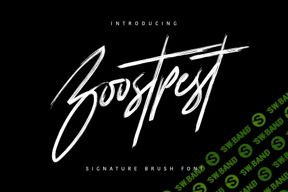 [creativemarket] Boostpest Signature Brush Font