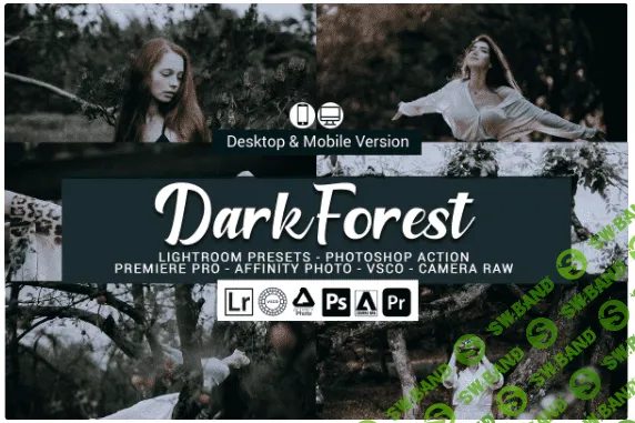 [creativemarket] Dark Forest Lightroom Presets (2020)