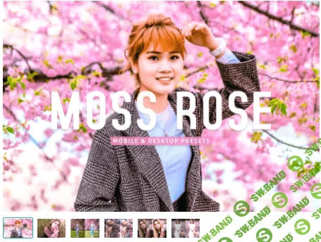 [creativemarket] Moss Rose Pro Lightroom Presets (2022)