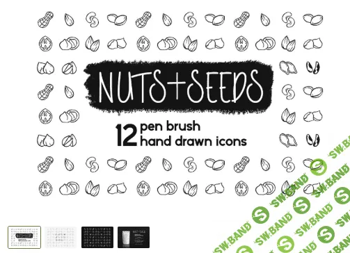 [Creativemarket] Pen Brush Hand Drawn Nuts&Seeds Set (2020)