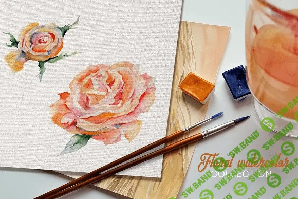 [creativemarket] Stylish rose Watercolor png