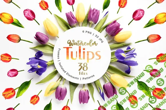 [creativemarket] Tulips Watercolor Red