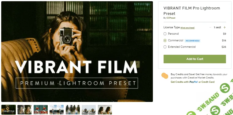[Creativemarket] VIBRANT FILM Pro Lightroom Preset (2020)