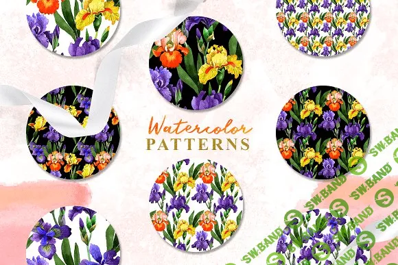 [creativemarket] Yellow irises Watercolor png
