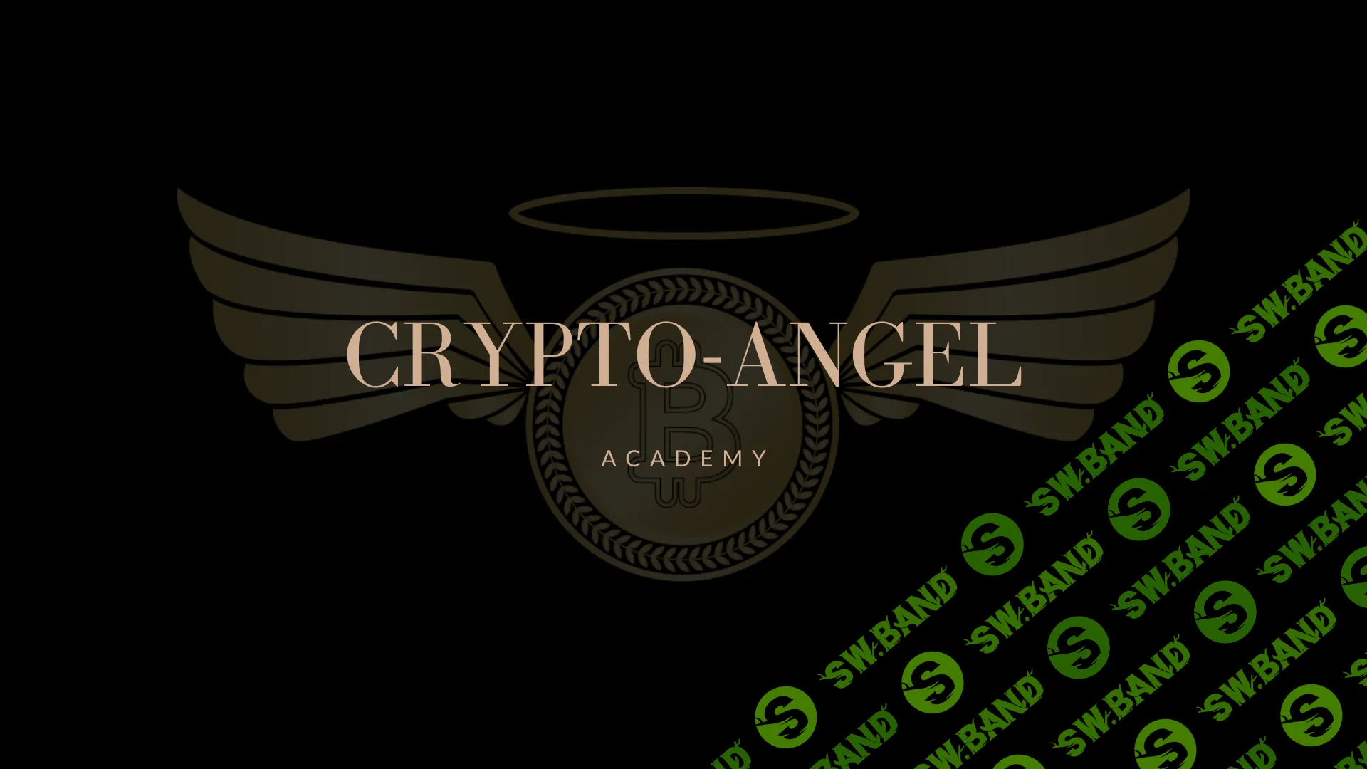 🤑 Crypto-Angel Academy . Малолетов 2024 год стоимостью 600.000 руб 🤑