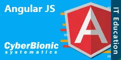 [CyberBionic] Angular JS (2014)
