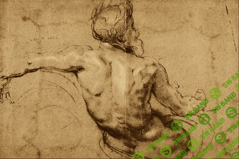 [Дарья Остапенко] Анатомия. Рисуем человека. Фигура человека