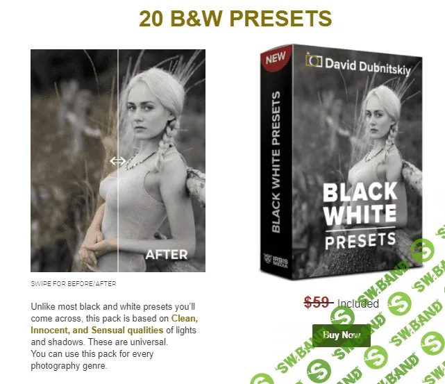 [David Dubnitskiy] 20 B&W Presets (2021)