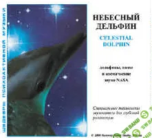 Дельфинотерапия| Celestial Dolphin (Небесный дельфин)1993