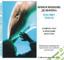 Дельфинотерапия| Dolphin Touch (Прикосновение дельфина) 1989