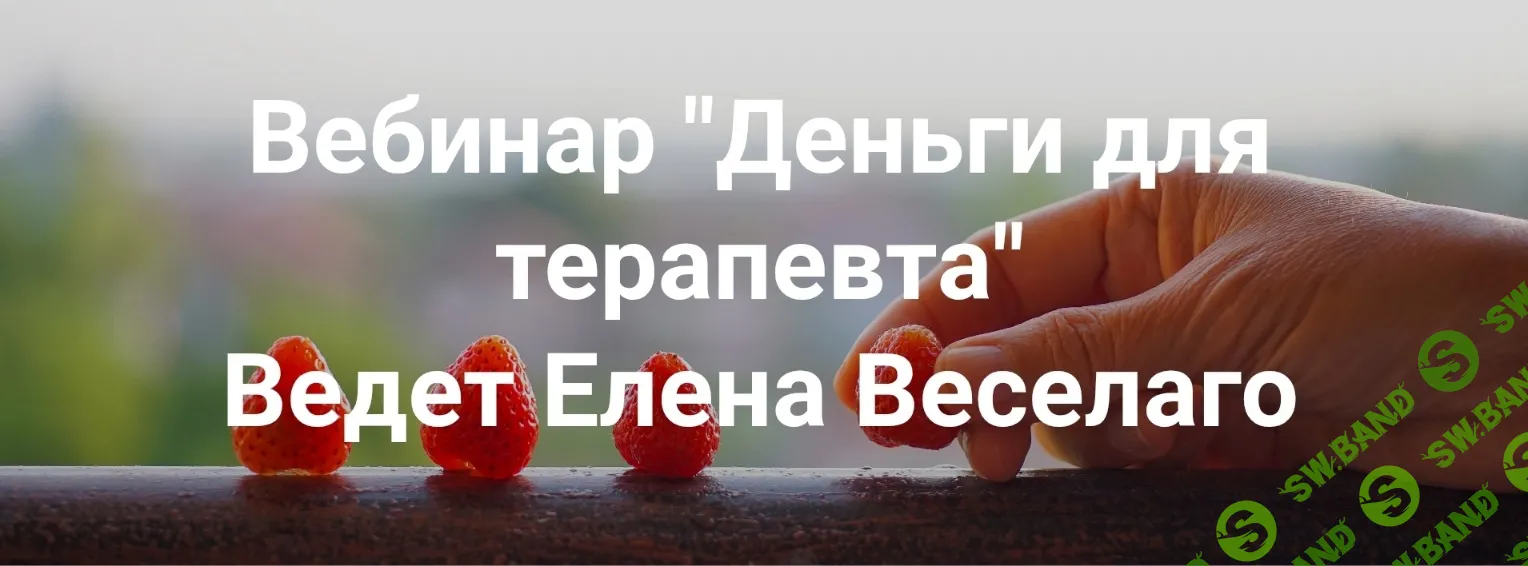 Деньги для терапевта [Институт Открытого поля] [Елена Веселаго]