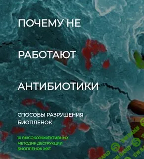 [Detoxkafa] Почему не работают антибиотики. Способы разрушения биопленок (2024)