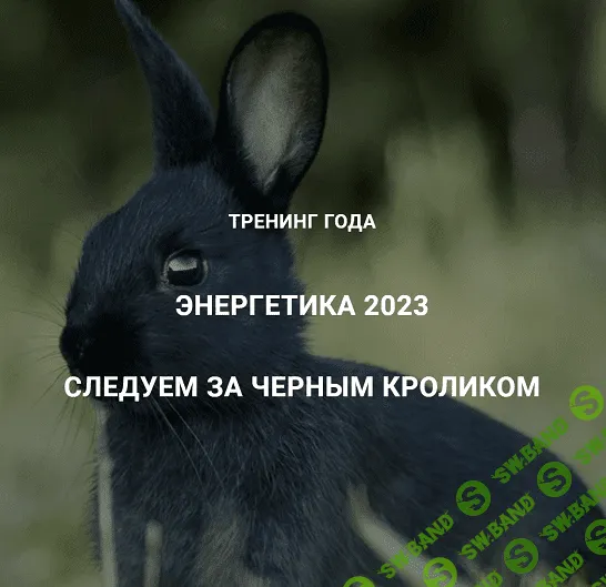 [Дмитрий Лаптев] [Дао-Сфера] Энергетика 2023. Следуем за черным кроликом (2023)
