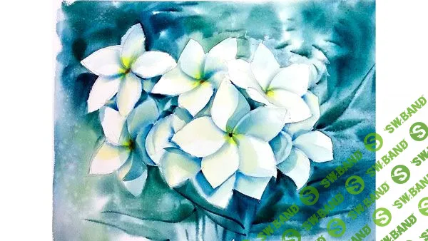 [doodleandsketch.com] Видео урок рисования акварелью "Белые цветы"