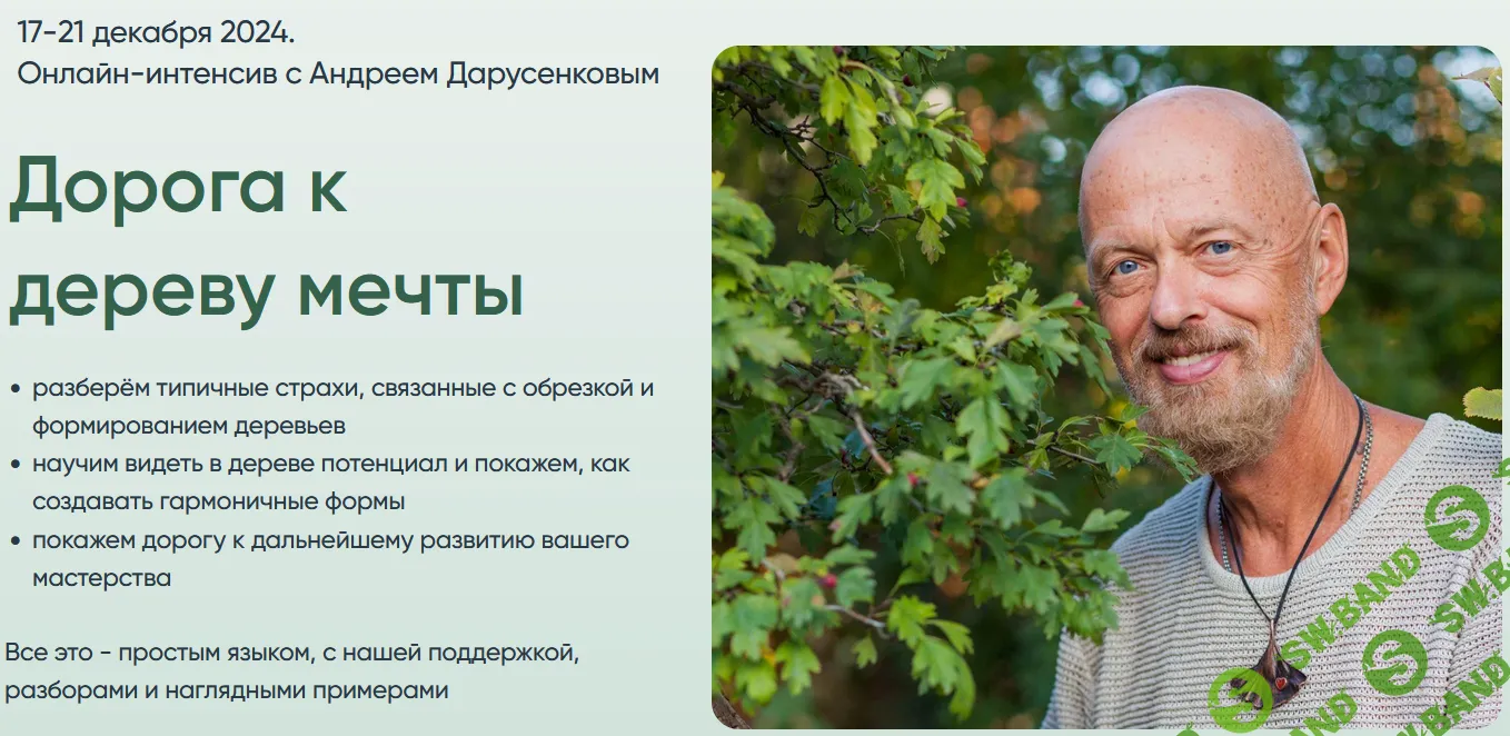 Дорога к дереву мечты [Андрей Дарусенков]
