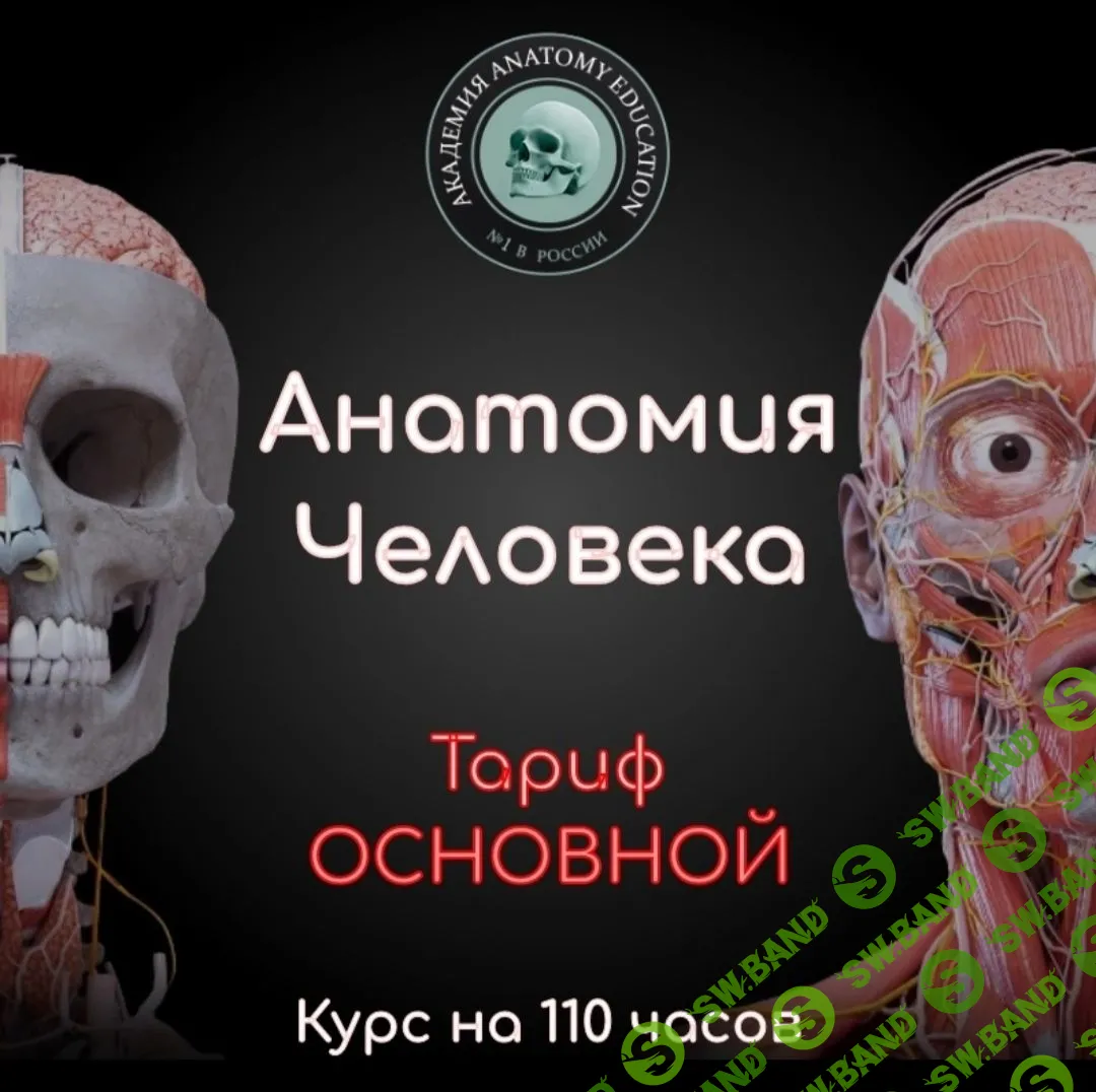 [Эдгар Кафаров] Анатомия человека (2022)