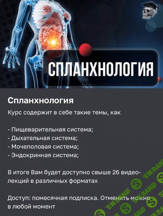 [Эдгар Кафаров] Спланхнология (2023)