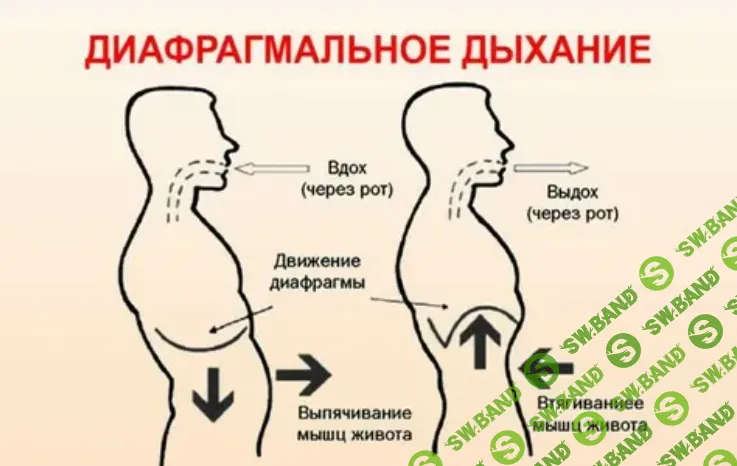 [Екатерина Федорова] Диафрагмальное дыхание. 3 поток (2022)