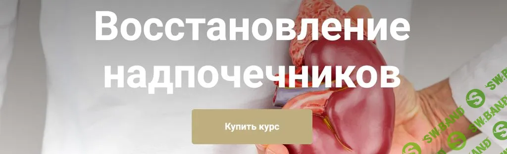 [Екатерина Юсупова] Восстановление надпочечников (2025)
