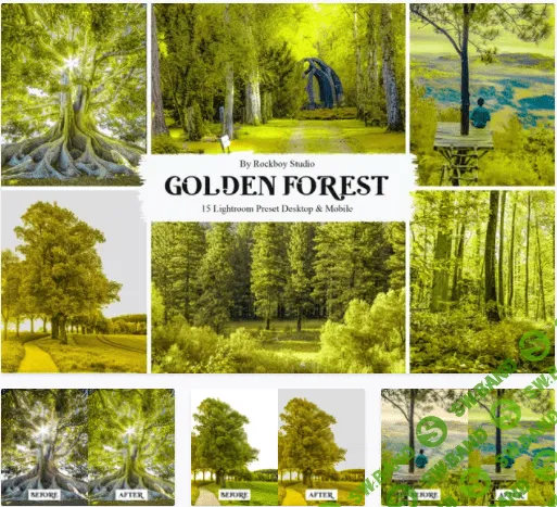 [elements.envato] 15 Golden Forest Lightroom Presets (2021)
