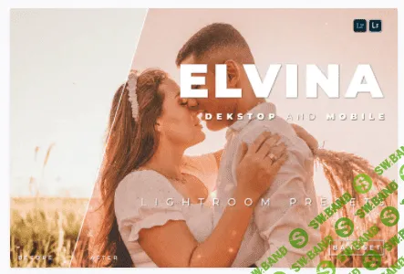 [elements.envato] Elvina Desktop and Mobile Lightroom Preset (2021)