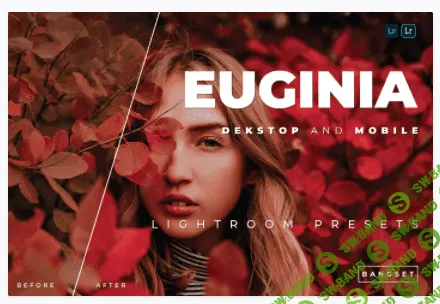 [elements.envato] Euginia Desktop and Mobile Lightroom Preset (2021)
