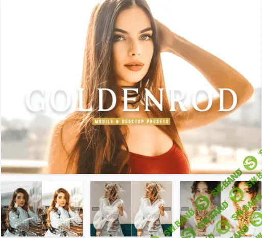 [elements.envato] Goldenrod Mobile & Desktop Lightroom Presets (2021)