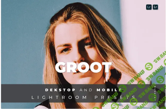 [elements.envato] Groot Desktop and Mobile Lightroom Preset (2021)