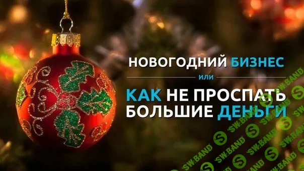 [Елена Кадырова] Новогодняя франшиза 2020