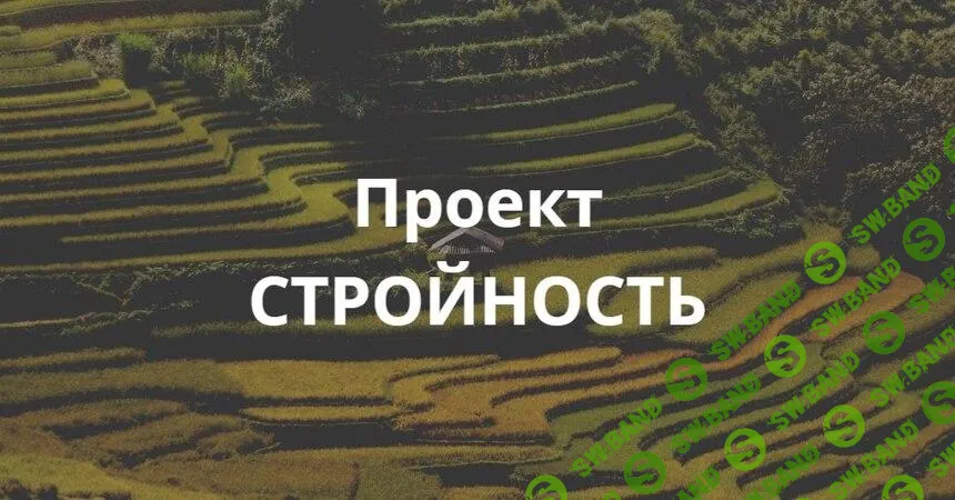 [Елена Суханова] Проект «Стройность» (2025)