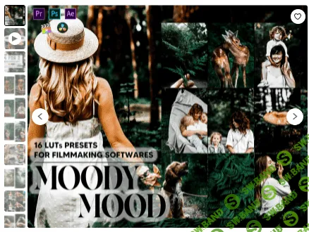 [etsy] 16 Moody Mood Video LUTs Presets (2022)