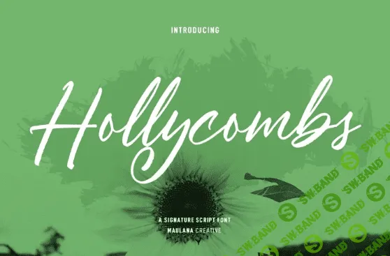 [Fontbundles] Hollycombs Script Font (2022)