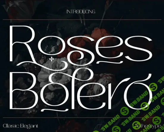 [Fontbundles] Roses Bolero Font
