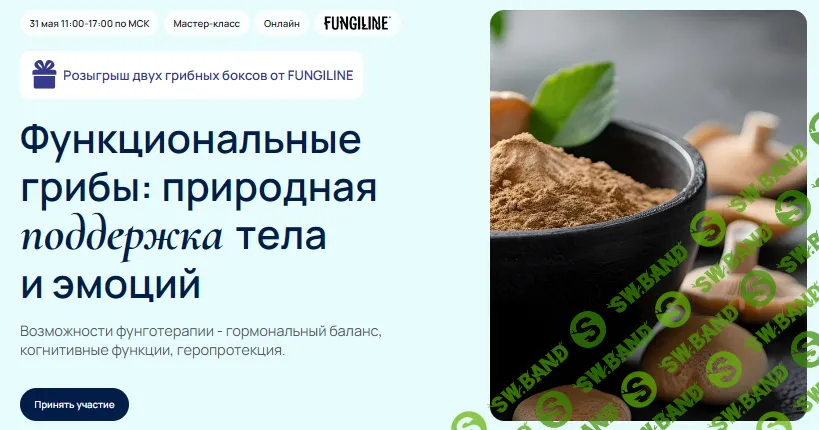 Функциональные грибы: природная поддержка тела и эмоций [УОМ] [FUNGILINE] [Елена Александрова] [Мария Харитонова] [Ирина Кононенко]