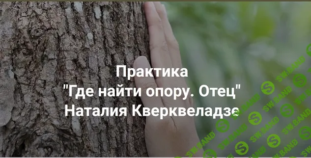 Где найти опору. Отец. Практика онлайн [Институт Открытого поля] [Наталия Кверквеладзе]