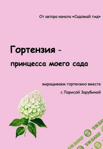 Гортензия - принцесса моего сада [Лариса Зарубина]