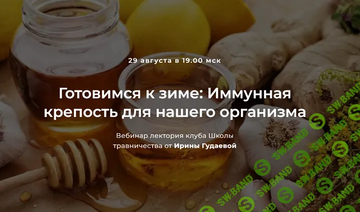 Готовимся к зиме: Иммунная крепость для нашего организма [Ирина Гудаева]