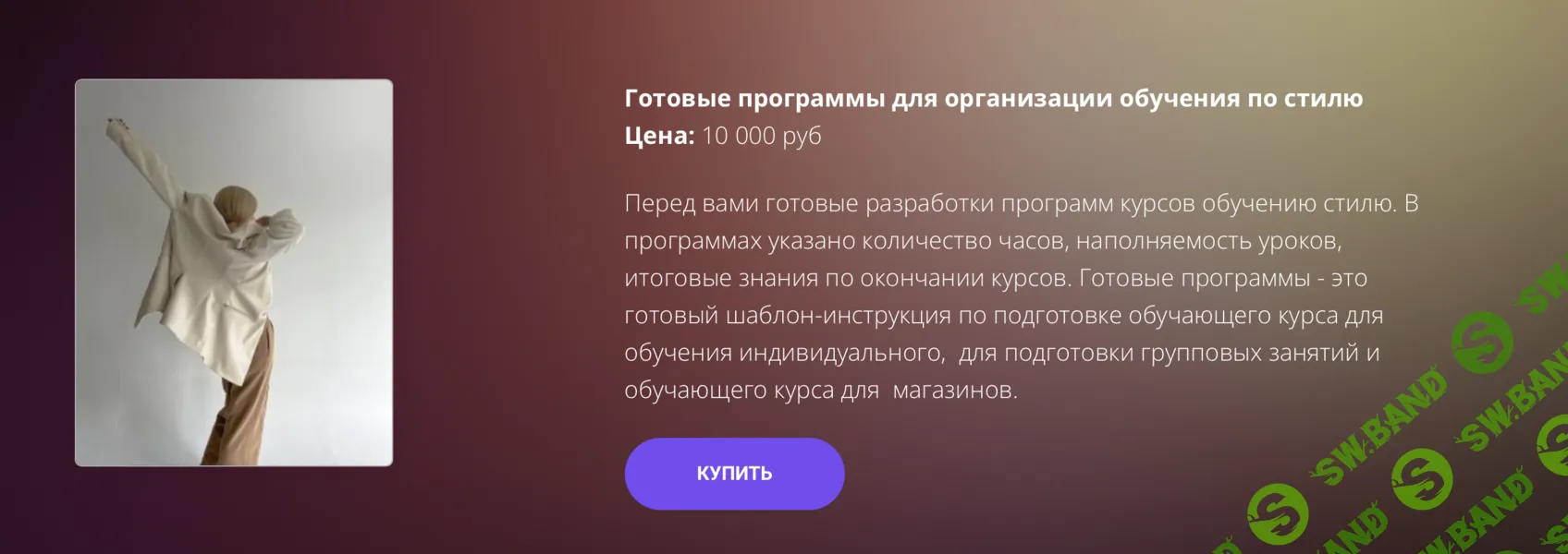 Готовые программы для организации обучения по стилю [Наталья Зуева]