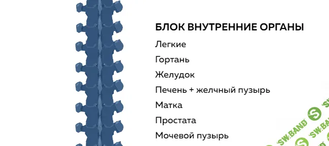 [Григорий Крутов] Блок внутренние органы (2021)