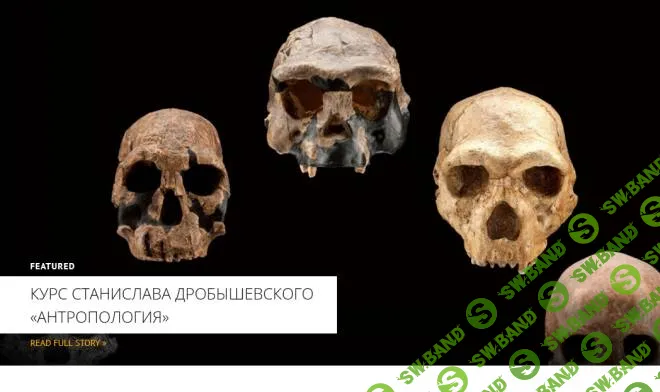 Homo sapiens (2024) [Архэ] [Станислав Дробышевский]