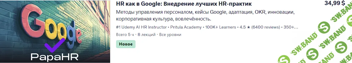 HR как в Google: Внедрение лучших HR-практик [Udemy] [Mike Pritula]