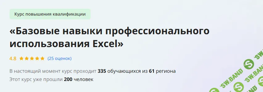 [Инфоурок] Базовые навыки профессионального использования Excel (2021)