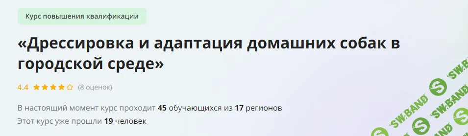 [Инфоурок] Дрессировка и адаптация домашних собак в городской среде (2023)