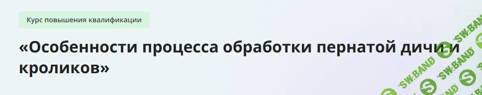 [Инфоурок] Особенности процесса обработки пернатой дичи и кроликов (2023)